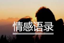 清丰婚外情取证